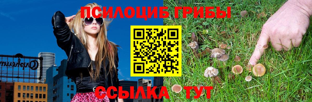 Псилоцибиновые грибы GOLDEN TEACHER  Псилоцибиновые грибы Psilocybine cubensis  Вход с VPN  Щёлково 