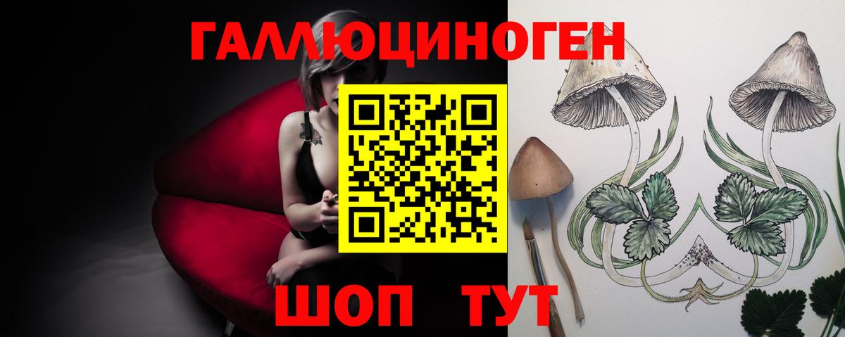 Галлюциногенные грибы GOLDEN TEACHER Щёлково